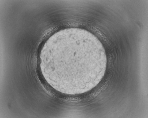 X0000115150638200912081347