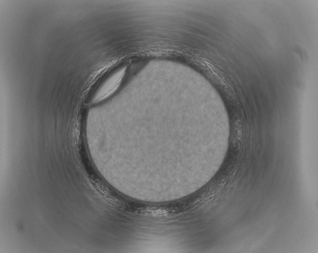 X0000115150640200912081347