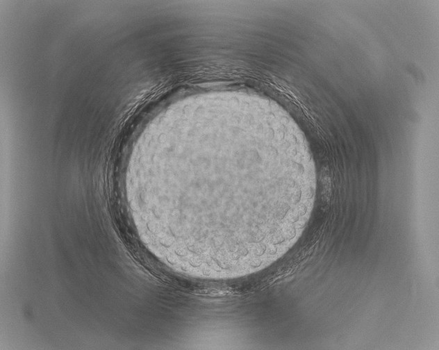 X0000115150642200912081347