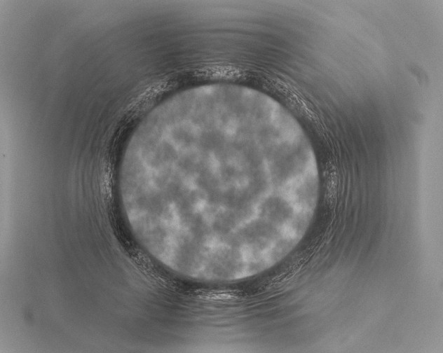 X0000115150643200912081347