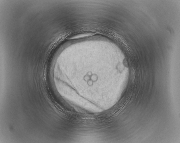 X0000115150644200912081347