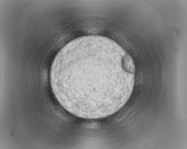 X0000115150646200912081347