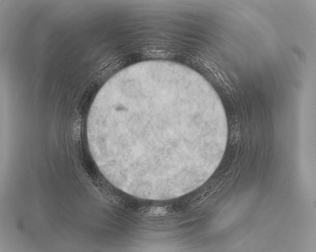 X0000115150647200912081347