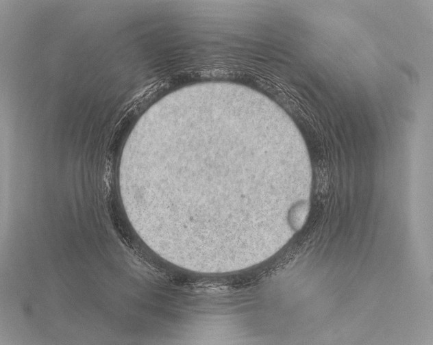 X0000115150648200912081347