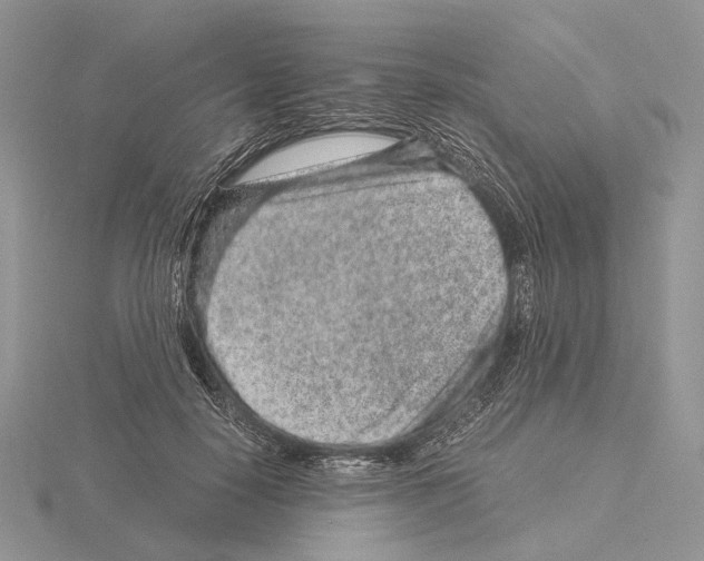 X0000115150650200912081348