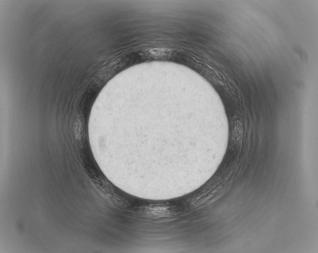 X0000115150651200912081348