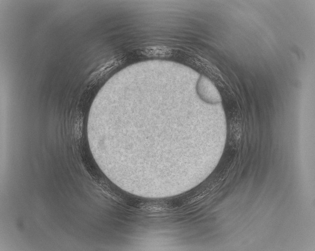 X0000115150652200912081348