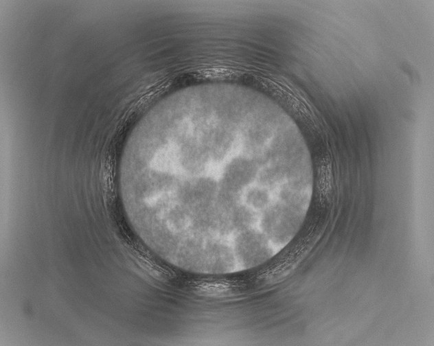 X0000115150653200912081348