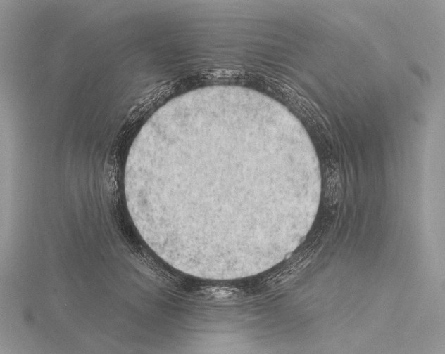 X0000115150654200912081348