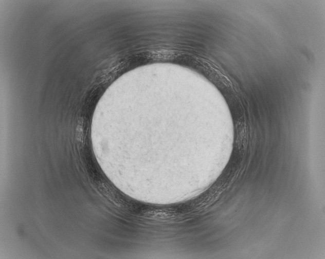 X0000115150655200912081348