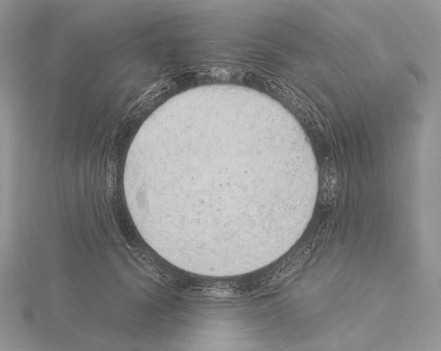 X0000115150656200912081348