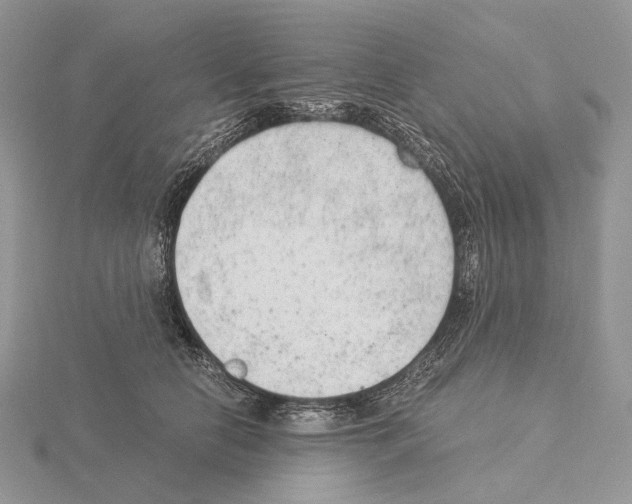 X0000115150658200912081348