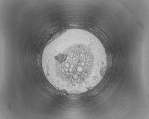 X0000115150660200912081348