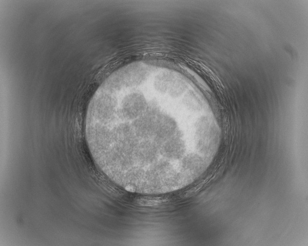 X0000115150661200912081348