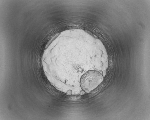 X0000115150662200912081348