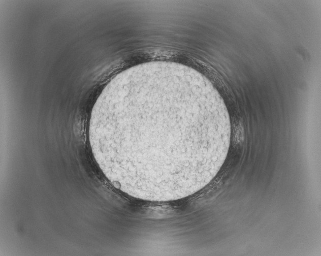 X0000115150666200912081348