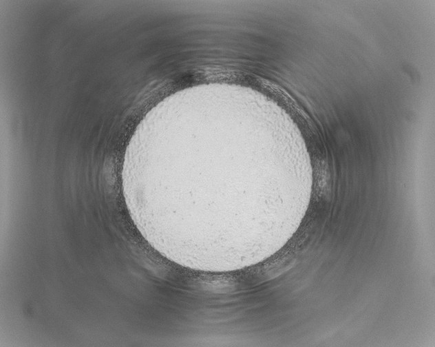 X0000115150667200912081348