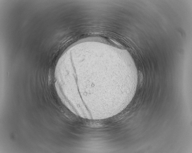 X0000115150668200912081348