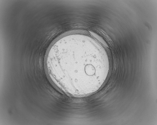 X0000115150669200912081348