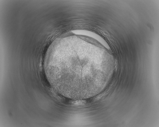 X0000115150670200912081348