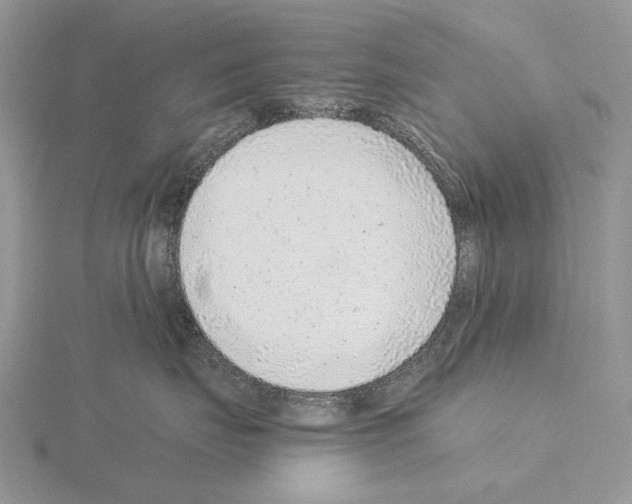 X0000115150671200912081348