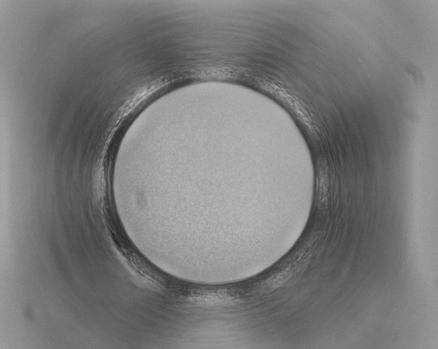 X0000115150674200912081347