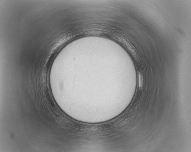 X0000115150675200912081347