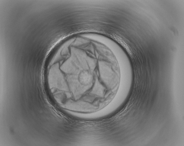 X0000115150676200912081347