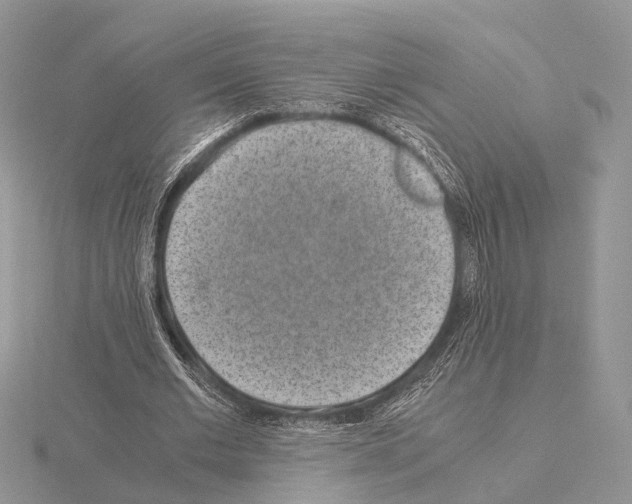 X0000115150677200912081347