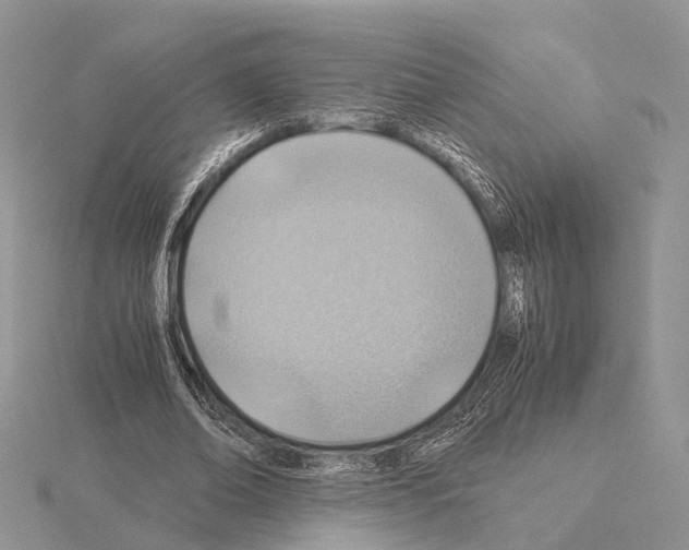 X0000115150678200912081347