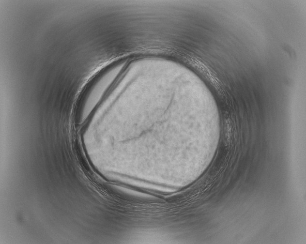 X0000115150680200912081347