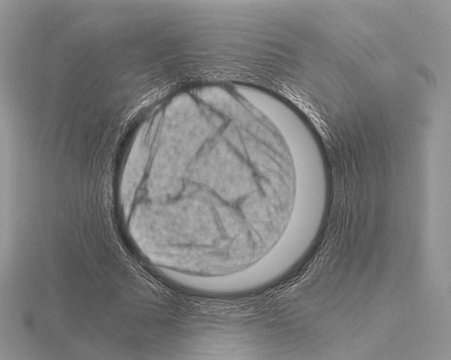 X0000115150681200912081347