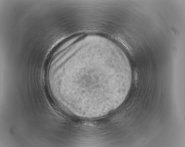 X0000115150684200912081347