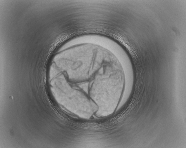 X0000115150685200912081347