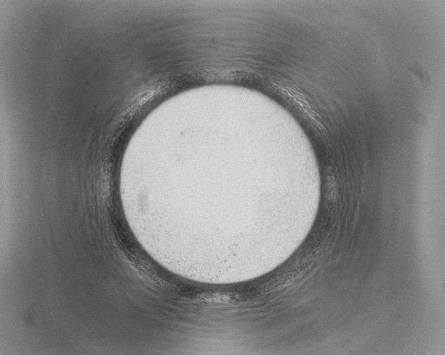 X0000115150687200912081347