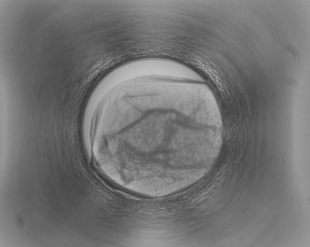 X0000115150689200912081347