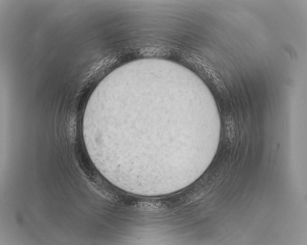 X0000115150690200912081347