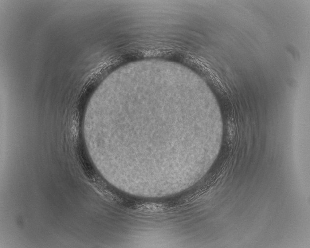 X0000115150691200912081347