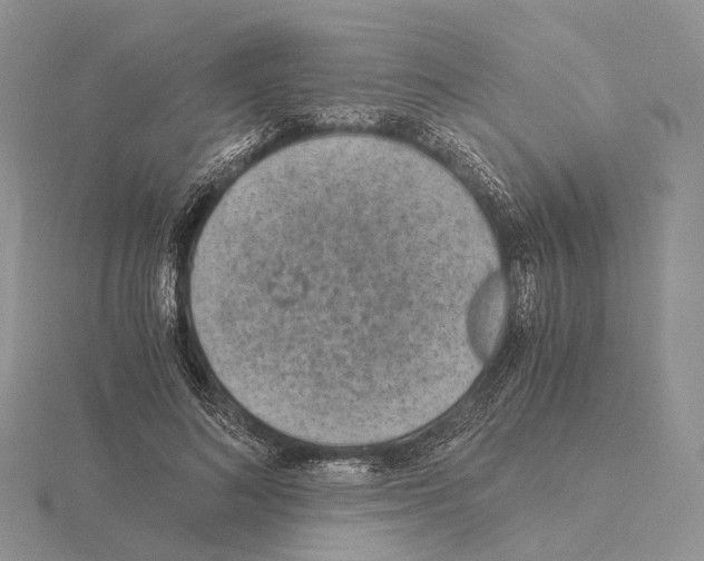 X0000115150692200912081347