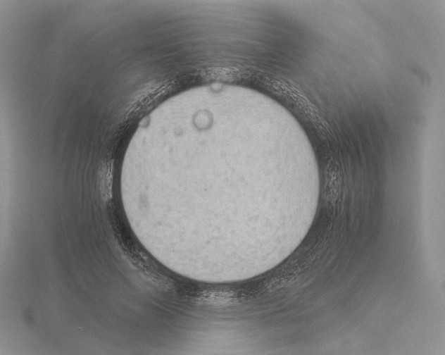 X0000115150694200912081347