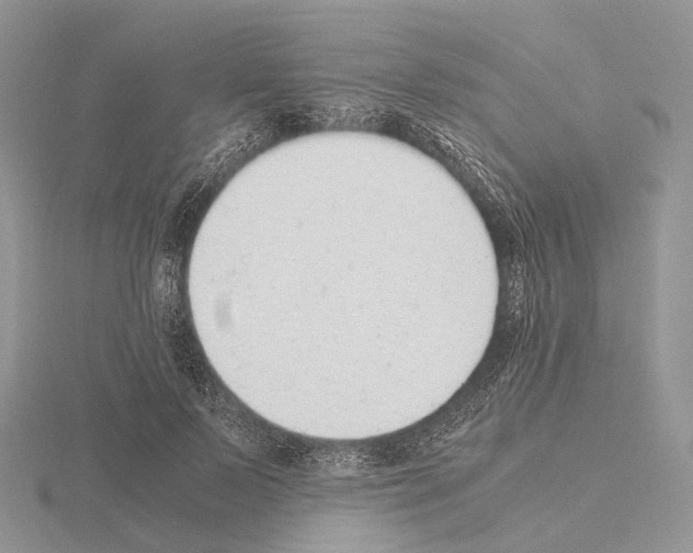 X0000115150695200912081347