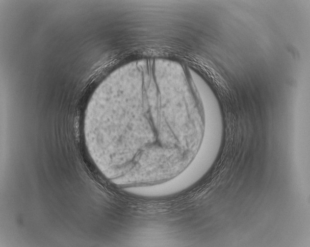 X0000115150696200912081347