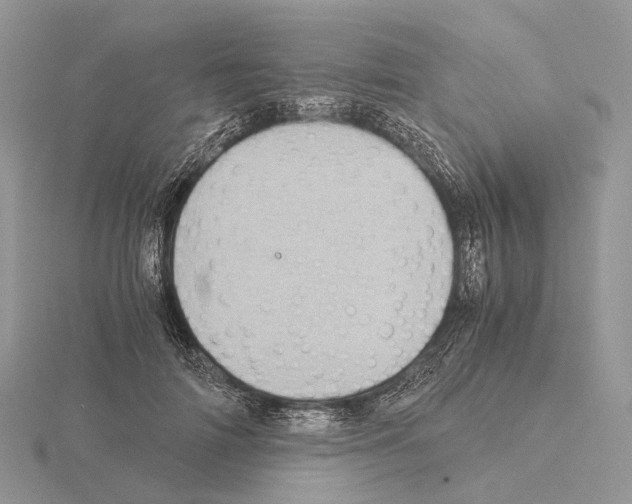 X0000115150698200912081347