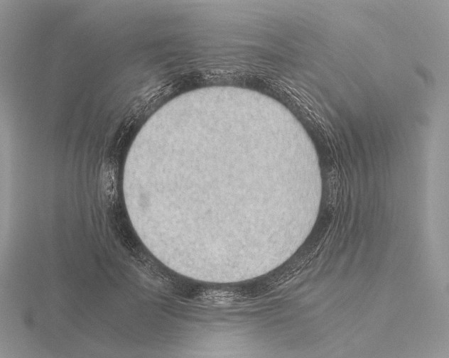 X0000115150699200912081347