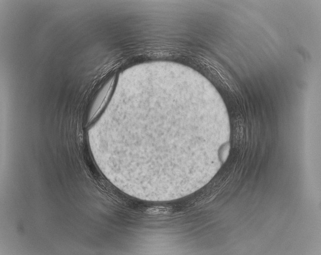 X0000115150700200912081347