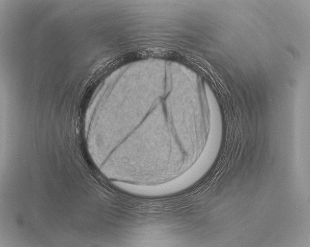 X0000115150701200912081347