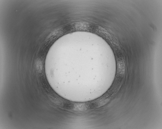 X0000115150705200912081347