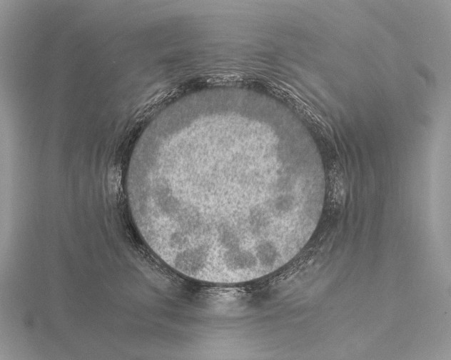 X0000115150711200912081347