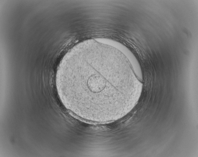 X0000115150712200912081347