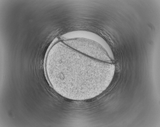 X0000115150713200912081347